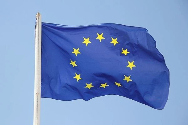 EU เริ่มลงทะเบียนการนำเข้าตัวยึดเหล็กกล้าคาร์บอนของจีน